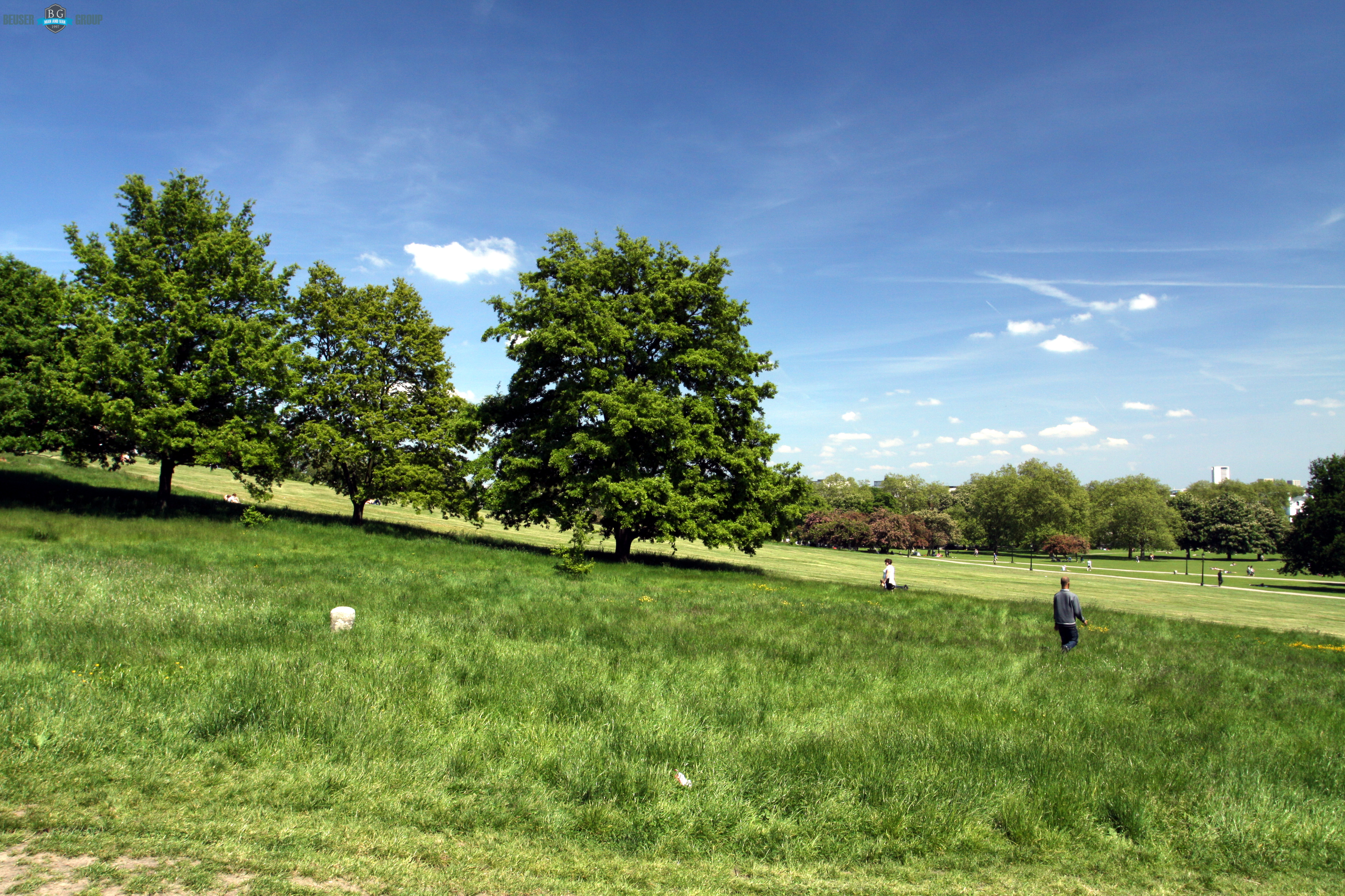 Primrose Hill NW1, NW3, NW8 Man with Van